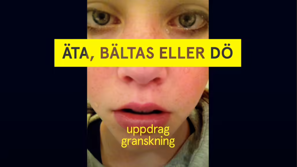 Länk till Uppdrag granskning